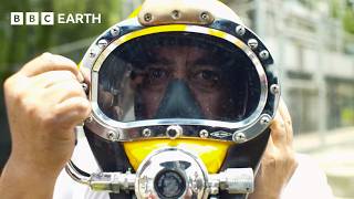 Thumbnail for the video "The Job Nobody Wants: Sewage Diver | BBC Earth Science" from BBC Earth Science