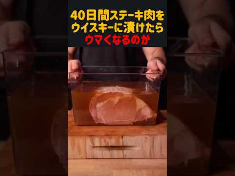 40日間ステーキ肉をウイスキーで漬けたらウマくなるのか　#雑学 #飯テロ