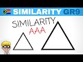 Triangle Similarity and Proportions