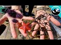 Tide Pool Exploration and Aquarium Setup