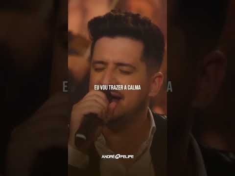 Ouça a voz de Deus falando contigo! 🙌🏻🍃🙏🏻#andreefelipe #aresposta