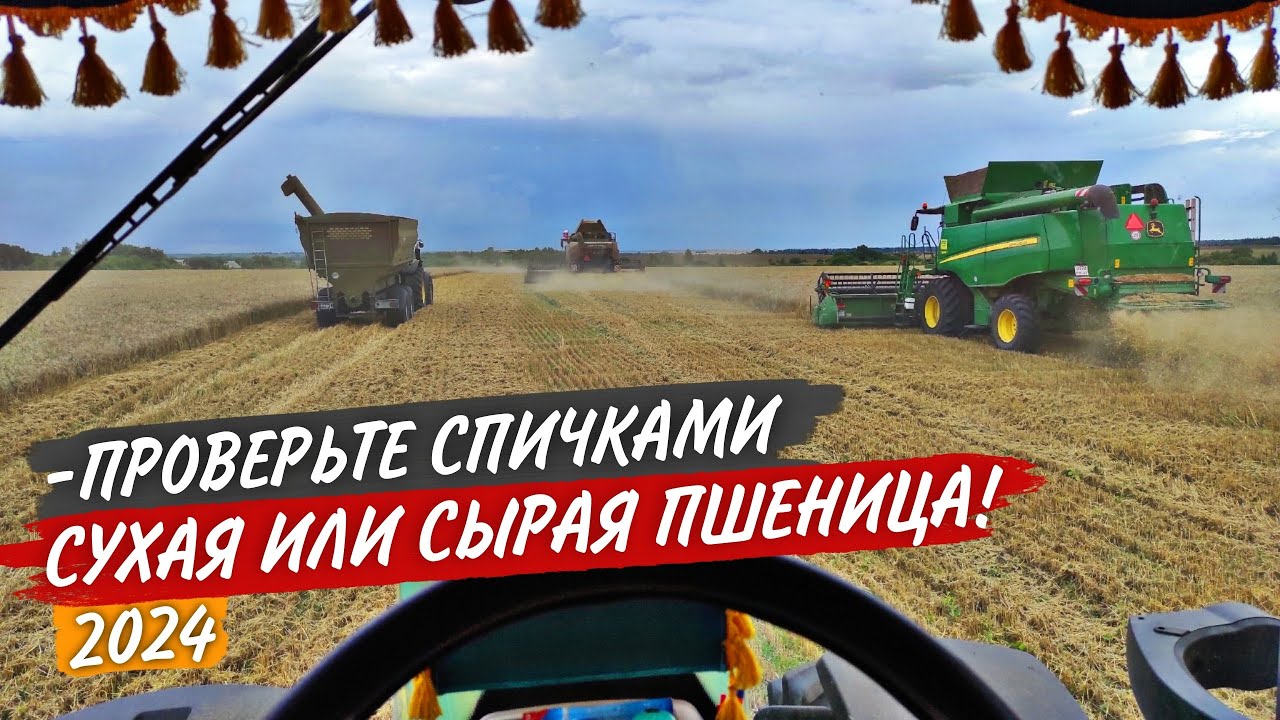 Стойко молотим влажную ПШЕНИЦУ на John Deere и РСМ-161. А Хофман опять ПИЛЯТ рапсовые столы.