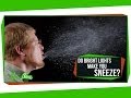 Photic Sneezing and Trigeminal Nerve