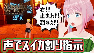 【SUIKAWA LEAD】音声でスイカ割を遠隔指示❕🍉