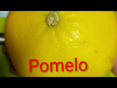 Pomelo eating, Mukbang time, so juicy!! #fruitydessert #juicyfruit #SLS