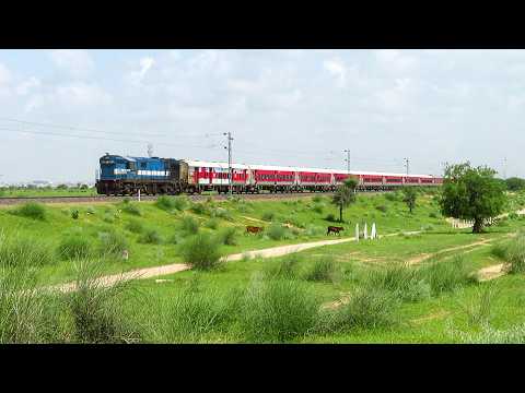 Ultimate Compilation of Trains in Lush Green Western Rajasthan