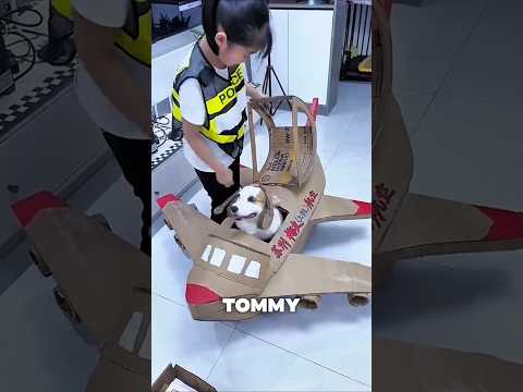 ¡Es Hora De Tommy Subirse Al avión!