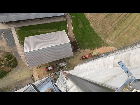 Filling 132' Silo with Triticale Forage