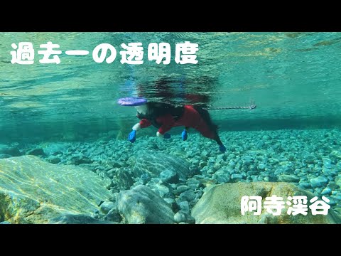 【長野】美しすぎる渓谷での愛犬との川遊びが最高すぎた!!/ふたり旅