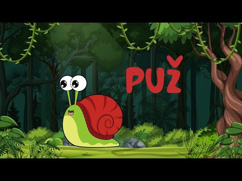 Dječji zbor Vjeverice - Puž (Official lyric video)
