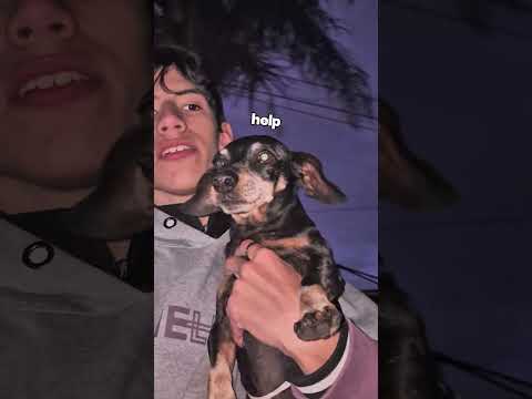 se iso de noche rapidisimo