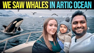 Lucky day : Whale Watching Experience in Artic Ocean - Murmansk😍