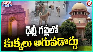Supreme Court Orders Relocation of All Stray Dogs in Delhi to Shelters | V6 Teenmaar