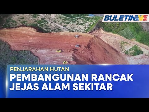 ADUAN RAKYAT | Hutan Dijarah, Kelestarian Alam Didakwa Terjejas