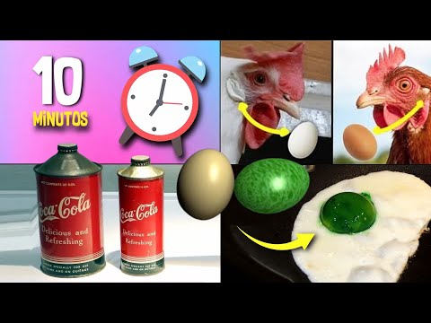 30 COISAS QUE VOCÊ NÃO SABIA EM 10 MINUTOS ⏰🤨[210]