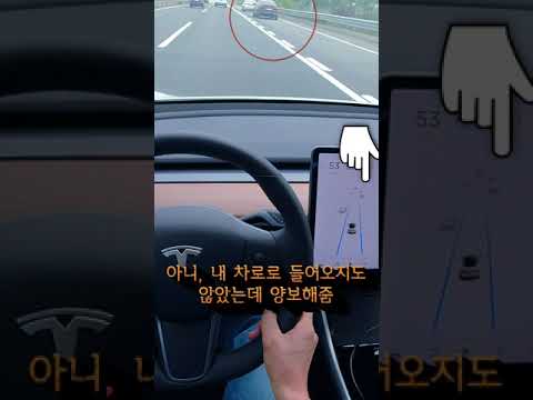 아니.. 이걸 양보해준다고? 저도 이런건 처음 봅니다. 🙀 Autopilot behaves like human  #테슬라 #모델3 #오토파일럿 #AI