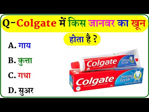 GK Question || GK In Hindi || GK Question and Answer || GK Quiz ||