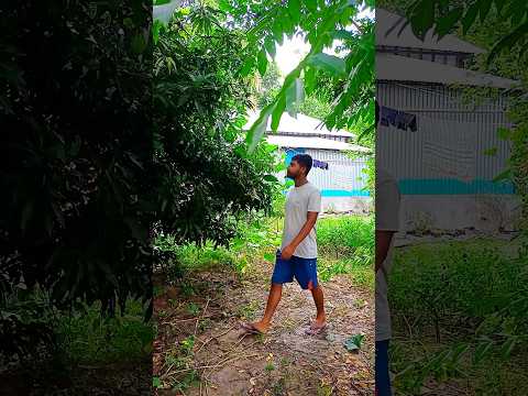 আজ কুলেখাড়া শাক তুললাম#minivlog#bengalivlog#shorts
