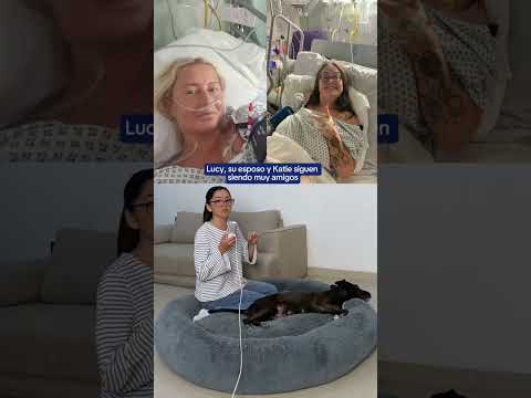 Perro encuentra donante de riñón perfectamente compatible con su dueña