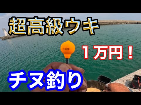 ダンゴ釣りで超大物！高級ウキの性能を大公開！【チヌ.紀州釣り.黒鯛】