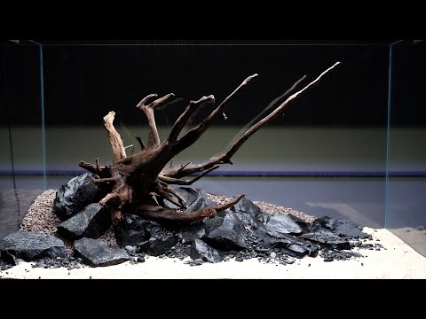 AQUASCAPING TIMELAPSE | 90P Nature Aquarium Setup
