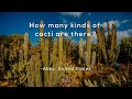 Cacti and Elia Bravo Hollis: A Journey of Discovery