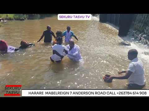 Ichi NdoChikwa Chakapisa Imba Chapfungaira PaMatare PaSekuru Tasvu