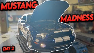 We Hosted a MASSIVE Meet at Mustang Week!