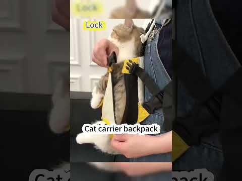 Pamper Your Cat with These Luxurious Products 💎 🔗 is in Bio 🐦 #DIYPetProjects