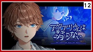 精華【水族館不會跳舞】#12 結局3 恐怖RPG ⇀ 虛無飄渺的夢【台V諳石】