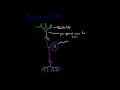 Pseudo Unipolar Cells Characteristics
