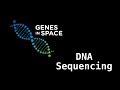 Exploring DNA Sequencing and Its Role in Space Research