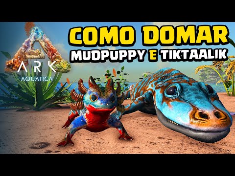 COMO DOMAR O MUDPUPPY E O TIKTAALIC - ARK AQUÁTICA