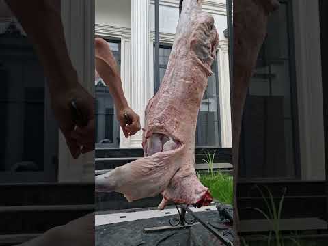 Qassob Gulomiddin xizmatingizda 99.838-82-32 #sheep #bull #arashan #animals #bbqmeat #lambs #goat