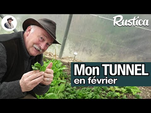 Mon tunnel en février