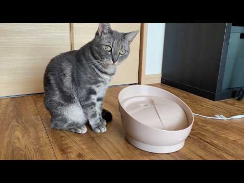 水不足で泣いている