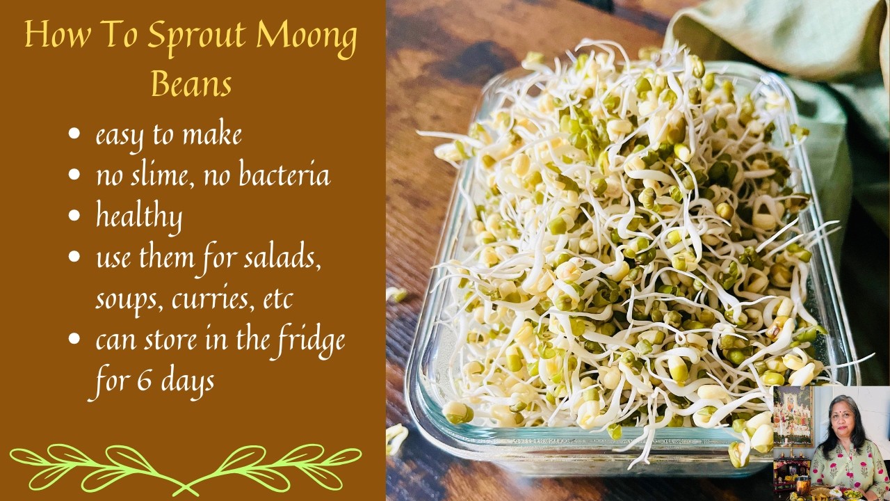 Sprouting moong or mung beans at home is pretty easy. Just soak, rinse and allow them to sprout in a warm place, Use them in salads, stir fries, curries, or enjoy them raw. In a similar way you can sprout moth beans (dew beans, Turkish gram), black eyed peas, lentils, chickpeas, etc. \#sproutedmoong \#homemade \#easyrecipe \#healthysprouts \#mayurisjikoni \#moong \#sprouts INGREDIENTS REQUIRED FOR SPROUTED MOONG BEANS 1 cup moong (mung) beans Plenty of water IN THIS VIDEO 00:00 Introduction 00:32 Ingredients List 00:43 Soak Moon Beans 01:14 Day 1 Process 03:31 Day 2 Process 04:49 Day 3 Process 06:01 How To Store The Sprouts 06:36 Useful Tips 06:47 How To Use Them 06:58 Like, Share, Comment, Subscribe 07:09 Thank You & More Video Suggestions 07:19 The End CHECK OUT THE PLAYLISTS FOR MORE RECIPES FROM MAYURI'S JIKONI Pasta - https://www.youtube.com/playlist?list=PLalnRWhvxmAoeS1Z4j5m5SLelHl7d66OQ International Cuisine - https://www.youtube.com/playlist?list=PLalnRWhvxmApcRQyCoSrdKXWTBUt7pa3m Vegan -https://www.youtube.com/playlist?list=PLalnRWhvxmAqV2ZExEKyoo7xjoJYtgBfj Healthy Meal - https://www.youtube.com/playlist?list=PLalnRWhvxmApVn4Up6qpYE4CuFKOWnCDG Weight Loss Recipes - https://www.youtube.com/playlist?list=PLalnRWhvxmArSwl9DcVT2Tj-P-YQ-9FMd Lunch - https://www.youtube.com/playlist?list=PLalnRWhvxmAq9i8QOflaqEkJLPOabuu7Z Vegetarian Food - https://www.youtube.com/playlist?list=PLalnRWhvxmAo\_Uo1JgM6UeLPEuoYS4EoL Beverage - https://www.youtube.com/playlist?list=PLalnRWhvxmAoJjY9XOecuV3DJ9O2gyN0s Celebration/ Festival Food - https://www.youtube.com/playlist?list=PLalnRWhvxmAob8Lfzs5DQ3Ki8wXY5Spxr Indian Cuisine - https://www.youtube.com/playlist?list=PLalnRWhvxmApSP1PkxEKvyyh\_\_sLCbI9D Shorts - https://www.youtube.com/playlist?list=PLalnRWhvxmAqNYHaTaT8t0qiwCXFfObxg Nature - https://www.youtube.com/playlist?list=PLalnRWhvxmAoxIYVqe9uiPupksyeRZnfN Travel/Events - https://www.youtube.com/playlist?list=PLalnRWhvxmAq7L0yfloAq6EvtR-CSicFd Ekadashi/ Fasting Food - https://www.youtube.com/playlist?list=PLalnRWhvxmAp-oCl8vlKXW-ADFSyAFAv4 Snacks - https://www.youtube.com/playlist?list=PLalnRWhvxmAr2585VQGv2xlmqDiGFriRN Kids Food - https://www.youtube.com/playlist?list=PLalnRWhvxmArO2WDJsaFuc\_y7MbVFZsNW Gluten Free - https://www.youtube.com/playlist?list=PLalnRWhvxmAoW-KNK1\_QgzZZRIz-VF1Fx Dessert - https://www.youtube.com/playlist?list=PLalnRWhvxmAr4qlolHU0R3hugd7YAMfKR Appetizer/Starter - https://www.youtube.com/playlist?list=PLalnRWhvxmApxyYcv6SunXwE9yAJxaSd- Salad - https://www.youtube.com/playlist?list=PLalnRWhvxmAoeuiCVKwM3oO7j4\_maVN4o Breakfast/Brunch -https://www.youtube.com/playlist?list=PLalnRWhvxmApXiVPgoxO2p-0cmrlYJmYO Party Food - https://www.youtube.com/playlist?list=PLalnRWhvxmAou1-XyVKS4rlkDPlwO0fsN Condiments - https://www.youtube.com/playlist?list=PLalnRWhvxmAo7nIalTqvafgiqjVBH32cH One Pot Meal - https://www.youtube.com/playlist?list=PLalnRWhvxmAroOi\_rs4BK9nAEj4qMKiWm Soup - https://www.youtube.com/playlist?list=PLalnRWhvxmAonxarjJqP21BLRuOzOu-p5 Curry/Sabji/Shaak -https://www.youtube.com/playlist?list=PLalnRWhvxmAoN7vruDch2AG\_IVBJLM44N Baked -https://www.youtube.com/playlist?list=PLalnRWhvxmApc7rYIE5\_P4G0f\_8xWEjff Cookies - https://www.youtube.com/playlist?list=PLalnRWhvxmArE4WCH7UCoKrp\_lnJiB-iV Edible Gifts - https://www.youtube.com/playlist?list=PLalnRWhvxmAqEZOkr\_waMzufGMS3XPIim Gujarati Cuisine - https://www.youtube.com/playlist?list=PLalnRWhvxmArBAcLsIDpx0ZmsXFDW0smm Kenyan Cuisine -https://www.youtube.com/playlist?list=PLalnRWhvxmAqIW-jOiswp\_iBIvYJwUrSZ Chaat/Street Food - https://www.youtube.com/playlist?list=PLalnRWhvxmAqwtLrRTmHdpJ49h2rRVVQm Fusion Recipes - https://www.youtube.com/playlist?list=PLalnRWhvxmArGr2YFyz58MWHLj1ZrTEqW Cakes/Muffins - https://www.youtube.com/playlist?list=PLalnRWhvxmAqLh-KmkTrrPv5TQk5VFOFk PLEASE FOLLOW ME ON SOCIAL MEDIA FOR NEW AND UPDATED RECIPES Facebook : https://www.facebook.com/MayurisJikoni/ Pinterest: https://www.pinterest.com/mayuri62/ Instagram: https://www.instagram.com/mayuri\_jikoni/ Blog: https://mayuris-jikoni.com