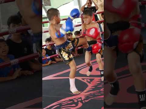 This little Thai fighter is fearless ๐๐น๐ญ#muaythai #martialarts #fighter #fighting