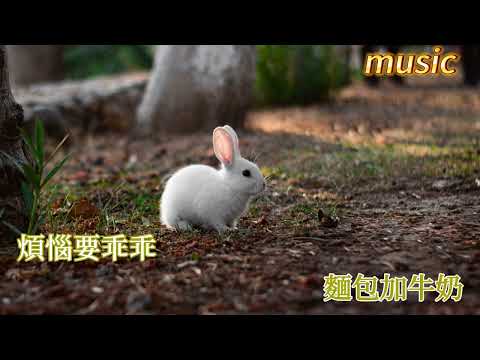 無敵小可愛KTV 伴奏 no vocal 無人聲 music 純音樂 karaoke 卡拉OK 伴唱無敵小可愛