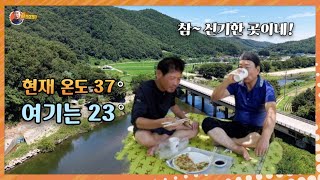 이프로와 에어컨이 필요없는 시원한  "풍혈냉천" 에서 믹걸리 한 잔 했슈~