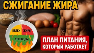 Как Работает План Питания для Сжигания Жира