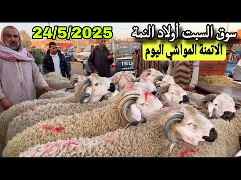 مباشرة من سوق السبت أولاد النمة إقليم الفقيه بن صالح 24/5/25 مع تمن الحولي و النعجة و حولية🐑🐑🇲🇦
