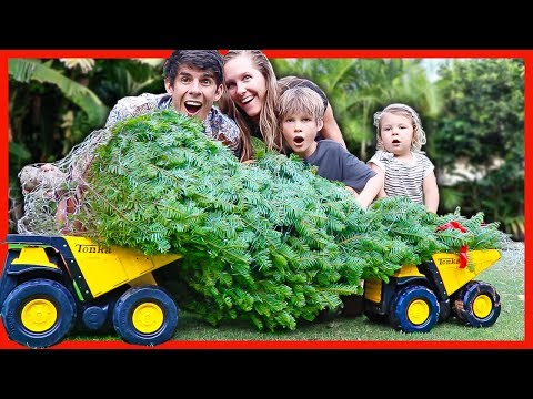 DUMP TRUCK CHRISTMAS TREE DELIVERY