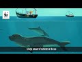Environmental Impact on Baltic Sea