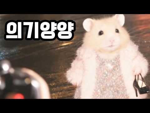 잘나가는 기분