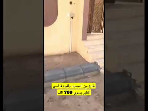 صقر يسوى700