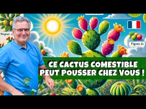 Ce cactus COMESTIBLE est (aussi) cultivable chez vous ! 🌵🌵🌵