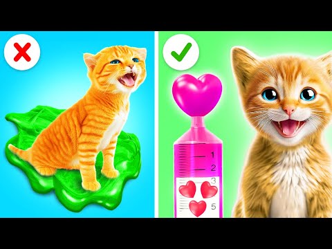 Cute Cats Hacks For Pet Lovers 😻🐈 *Amazing Kitten Ideas To DIY*