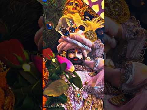 Khatu Shyam Nagari ki #khatu #shyam #trending #youtubeshorts #viralvideo #love #shortvideo