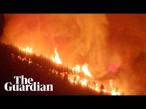 Wildfire burns through hundreds of acres of forest on Tenerife